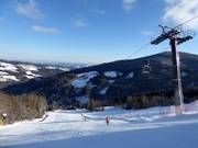 Marienseer Descent No. 9