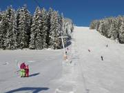 Rittisberglift - T-bar