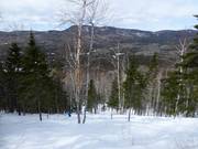 Cleared forest run Le Nid-d'Aigle