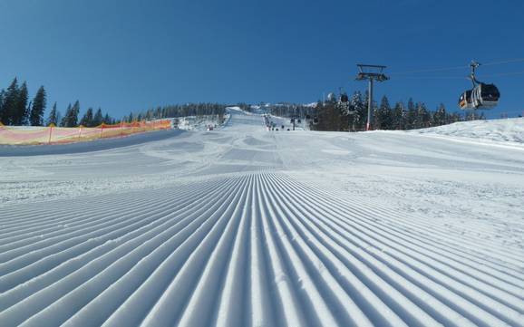 Slope preparation Zwieseler Winkel – Slope preparation Arber