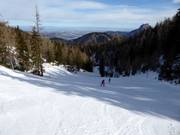 Gruber Family downhill run
