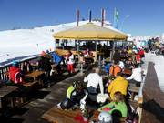 Panorama umbrella bar