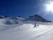 Carving dreams come true here.