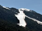 Forest runs in the Soldeu and El Tarter sectors