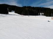 Beginner slope with lift in Saint Nicolas de Veroce