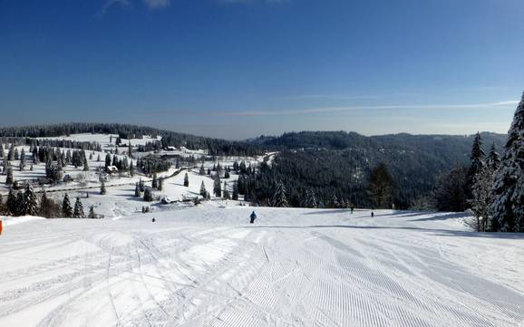 Biggest height difference in the Administrative Region of Freiburg – ski resort Feldberg – Seebuck/Grafenmatt/Fahl