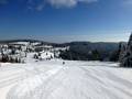 Photos Feldberg – Seebuck/Grafenmatt/Fahl