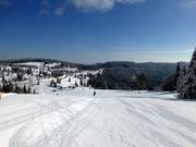 Dreamlike snow-covered landscape at Feldberg