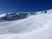 Powder slopes between the runs