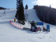 13 Vesirikka-autto - T-bar