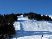 Black FIS slope