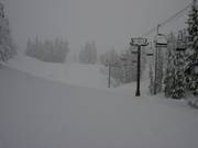 Fresh snow in the Timberline ski area