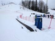 Werneri Park 2 - People mover/Moving Carpet