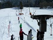 Faschinglift I - T-bar