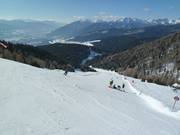 Nesselwiese downhill run (Gitschberg)