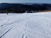 Very good slope grooming in the Spindlermühle ski area