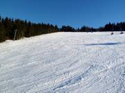 Markbuchen downhill run