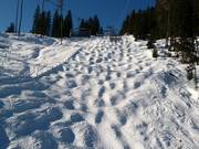 Mogul slope at the Harbachbahn