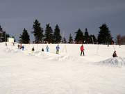 Wave track at Almberg