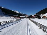 Cross-country ski trails in Santa Caterina Valfurva
