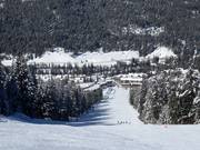 Upper section of the Showoff run