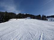 Slopes at the Schernthannbahn