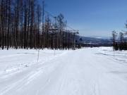 Easy slope Ageimo (Niseko Village)
