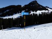 Signpost to Schönried