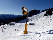 Snow cannon at the Schrödelsteinabfahrt slope