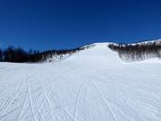 Difficult slope Ølkorken No. 11 (Gullsteinhovda)