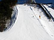 One of the steep slopes next to the St. Georg ski jump