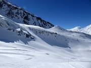 View of the powder slopes