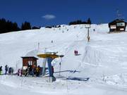 Parli-Alp Dado - T-bar