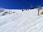 Powder slopes at Passo Feudo