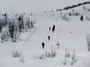 Trail in Beitostølen