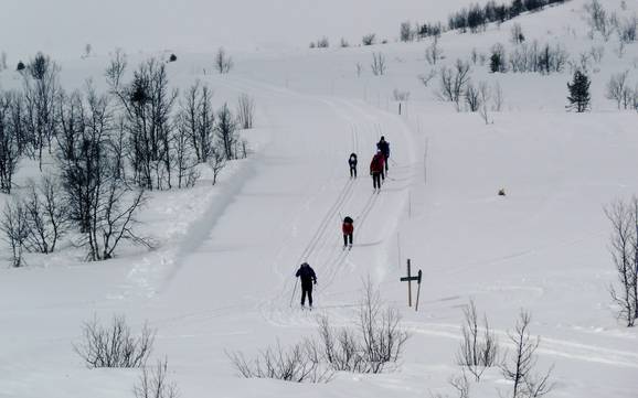 Cross-country skiing Valdres – Cross-country skiing Beitostølen