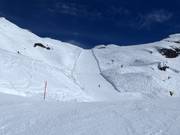 Difficult slope Erika at Laubersgrat