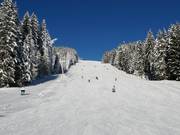 South descent Rittisberg drag lift