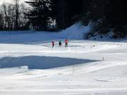 Cross-country skiers in Savognin