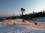 Snow cannon on the valley run