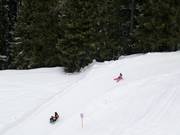 Rinerhorn toboggan run