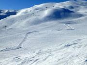 Wave Run Storhaugcrossen