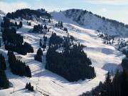 View of the Ranfolly slopes in Les Gets