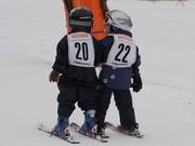 Let’s go to the Zwergerlrennen