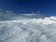Mogul slope at the Grubigbahn II