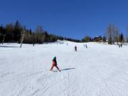 Easy slopes at Zirbenlift 2