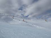 Difficult slope Race Arena