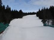 View of the ski run