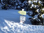 Mörsbachalm – Open ski terrain