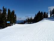 Rock'n'Roll downhill run